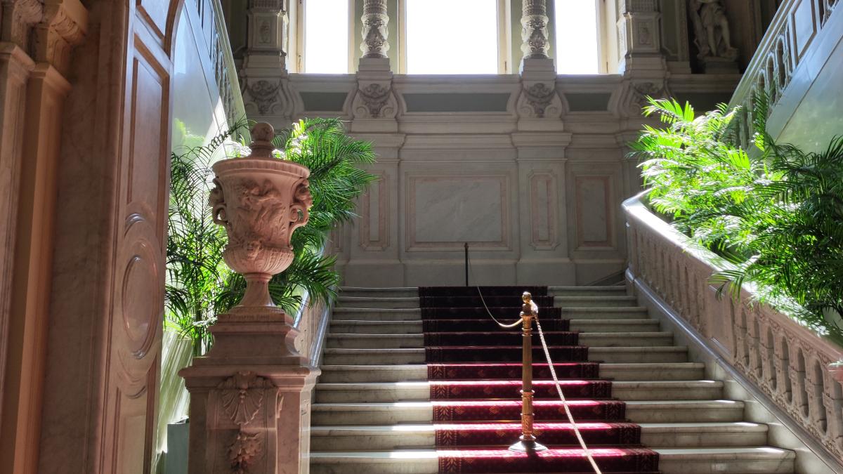 promisiune_carol_pxl_26654100