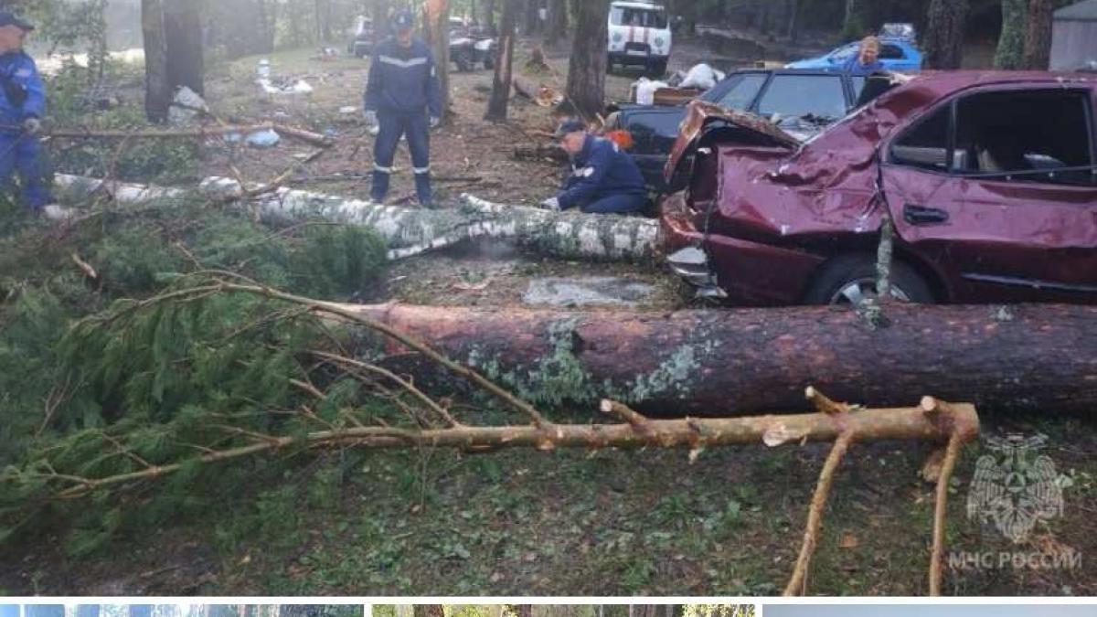 rusia-morti-furtuna_61370900