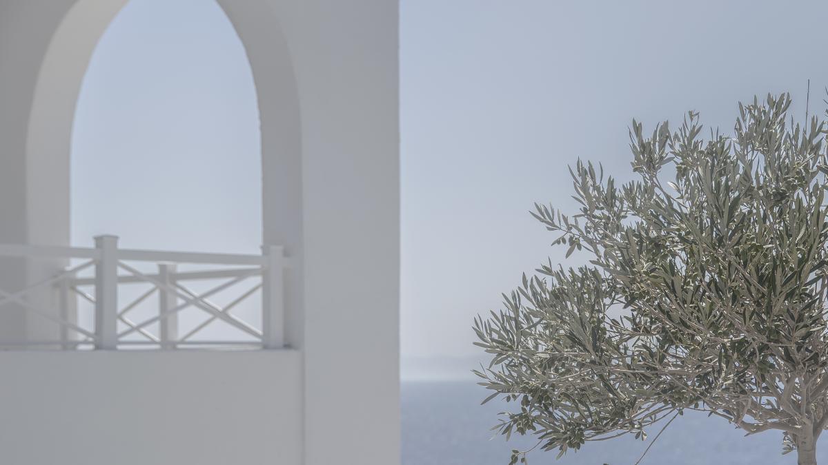 elvetia--afectata-de-incalzirea-globala--geneva-s-ar-putea-transforma-intr-o-mica-grecie--cu-cladiri-albe-si-maslini-la-tot-pasul_52799700