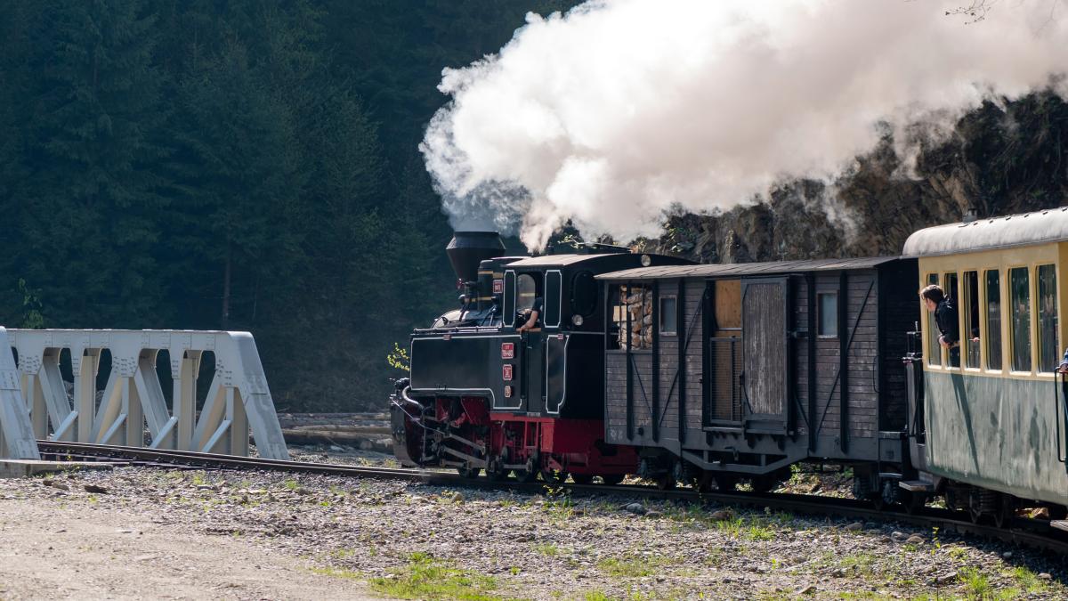 moving-steam-train-mocanita-with-passengers-romania_86839600