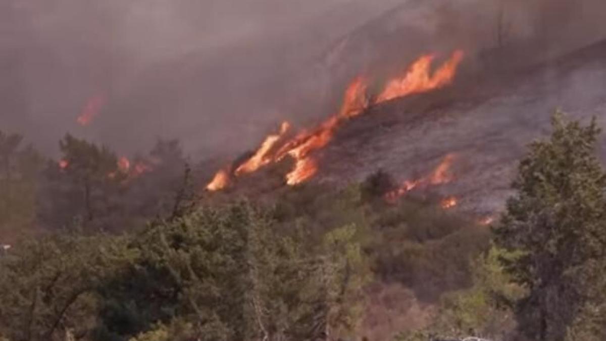 rodos-incendiu_39156500