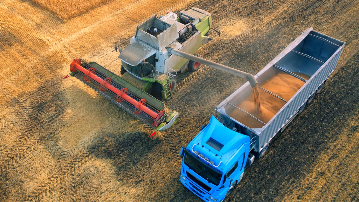 exportul-de-cereale-din-ucraina--blocat-de-romania-dupa-exemplul-poloniei-liviu-dragnea-nu-au-curaj-sa-negocieze-nimic--le-tremura-izmenele_15029000