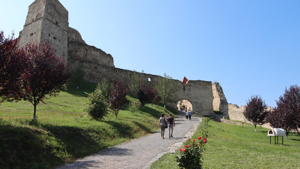 rupea-cetate_14016500