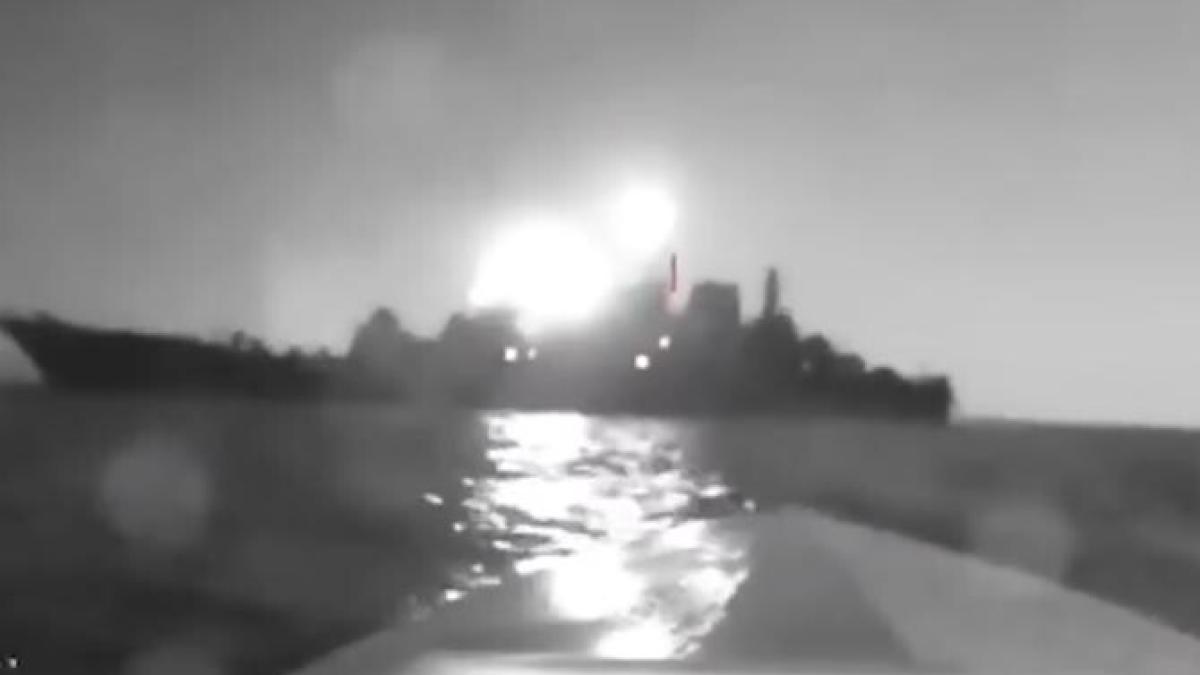 screenshot-2023-08-04-135648_64006700