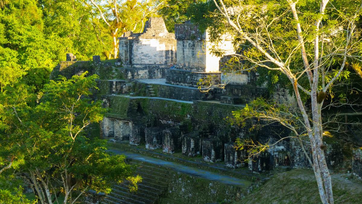 structuri-misterioase-ale-civilizatiei-maya-descoperite-in-jungla_24097100