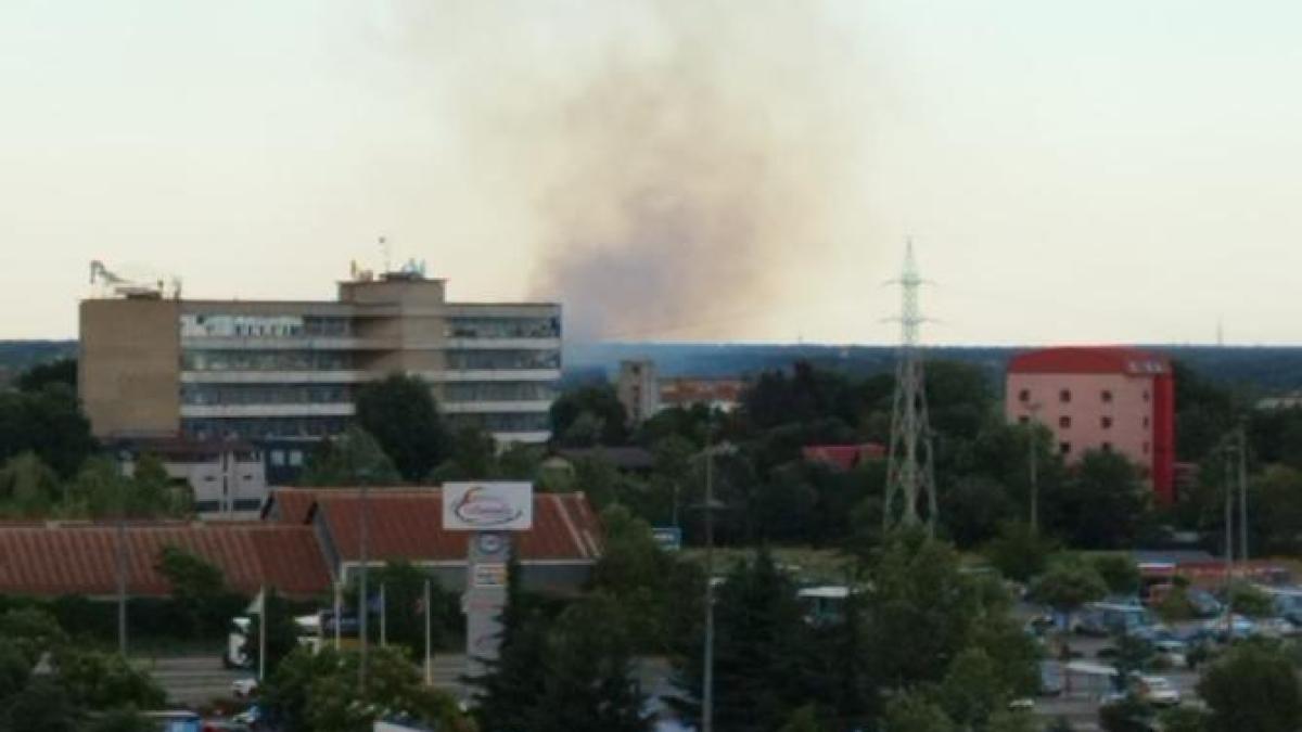 incendiu_vegetatie_pantelimon_93579100