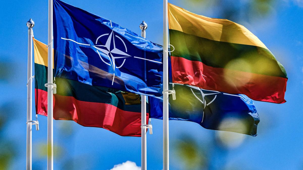 nato_nif_fonduri_risc_fb_85322200