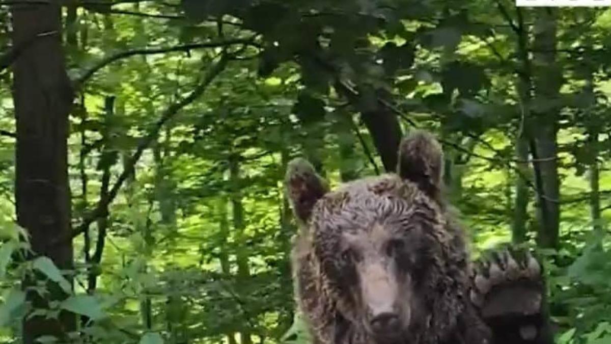 captura-video_16554200