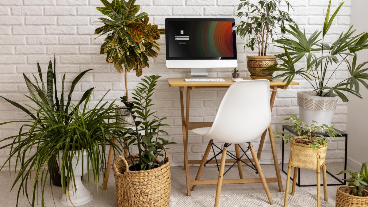 de-ce-ar-fi-bine-sa-existe-plante-de-interior-la-locul-de-munca--sefii-ar-trebui-sa-stie-asta_45377900