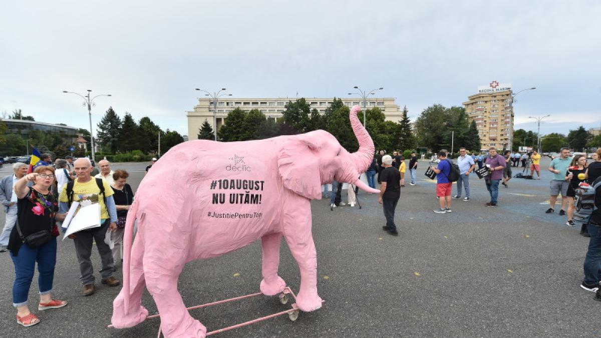 protest-in-piata-victoriei-la-5-ani-de-la-prc-e2prc-80prc-9dmitigul-diasporeiprc-e2prc-80prc-9d-din-10-august-2018_84941700