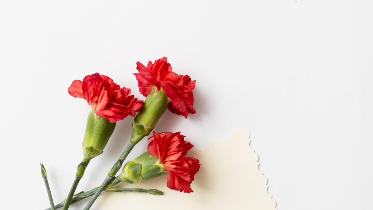 calendar-crestin-ortodox--sarbatoare-12-august-2023_19145300