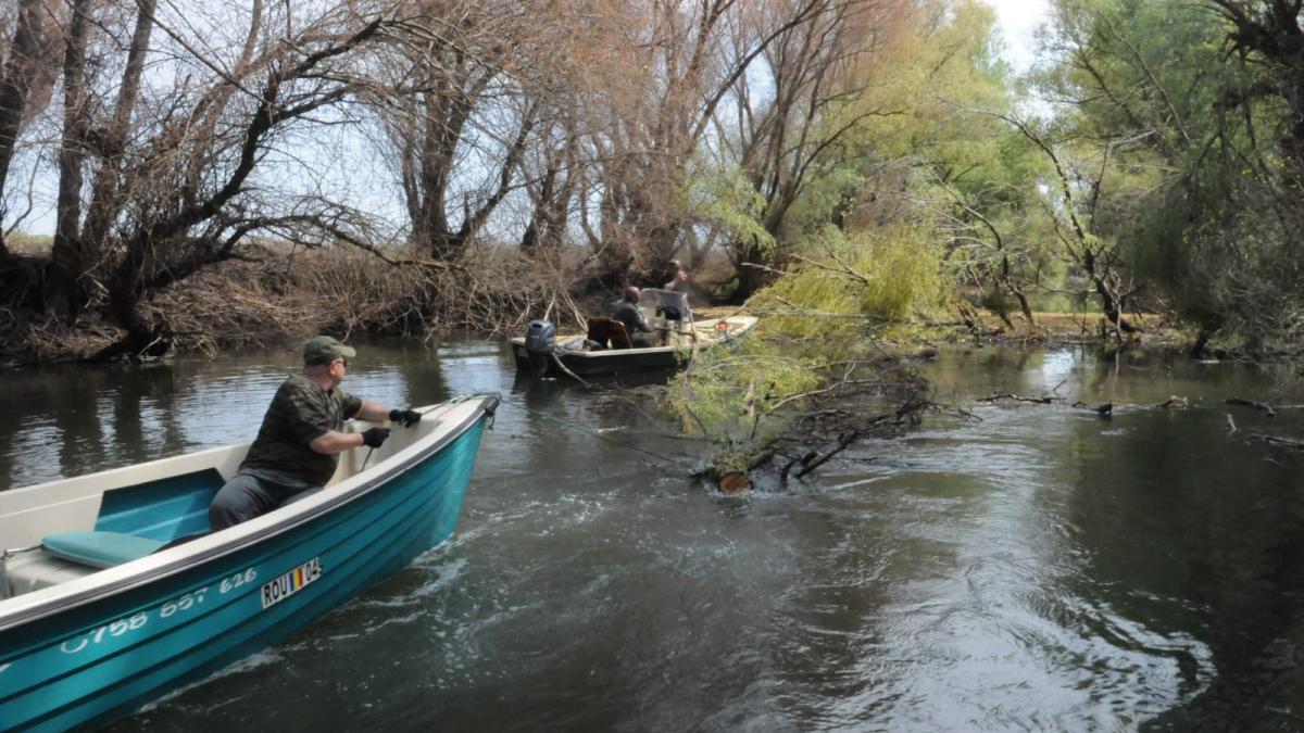 arbdd-buget_analiza_fb_75402200