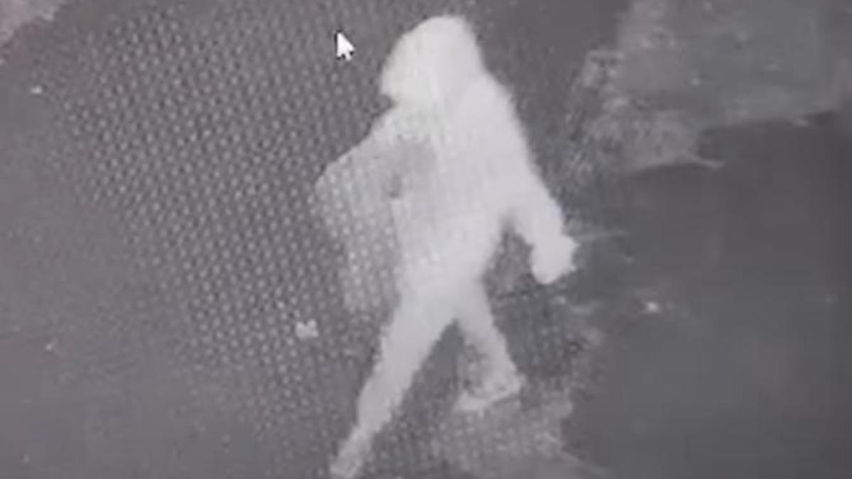 crima-mangalia_17732400