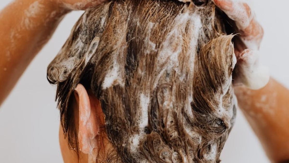 sampon-par-alegere_82451800