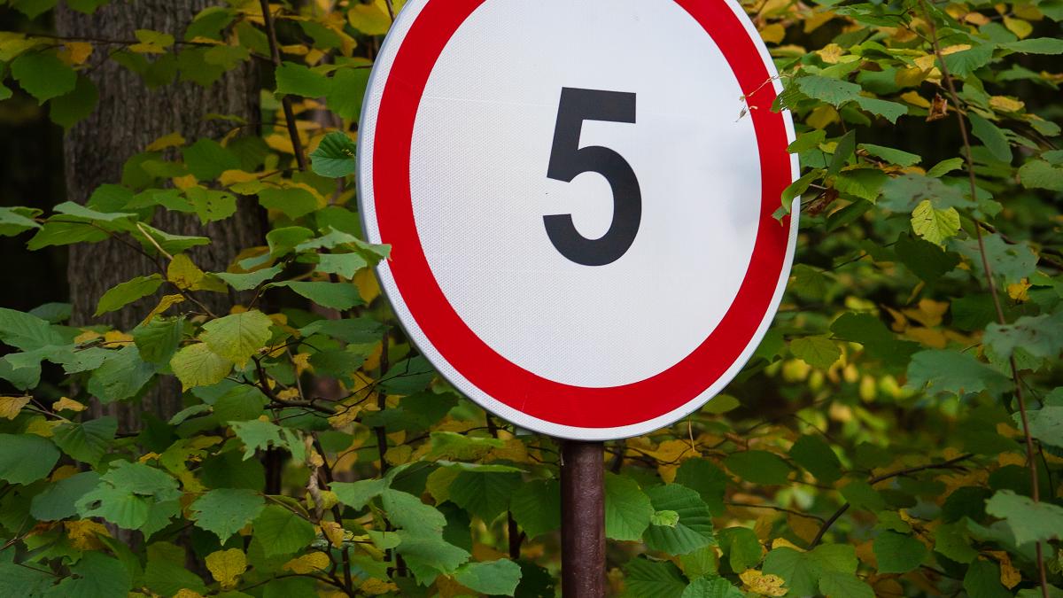 limitatoare-de-viteza-montate-ilegal--solutie-pentru-reducerea-prafului--vicepresedintele-cj-buzau-prc-e2prc-80prc-9dtot-praful-vine-la-noi-in-curte--in-piscinaprc-e2prc-80prc-9d_56931700