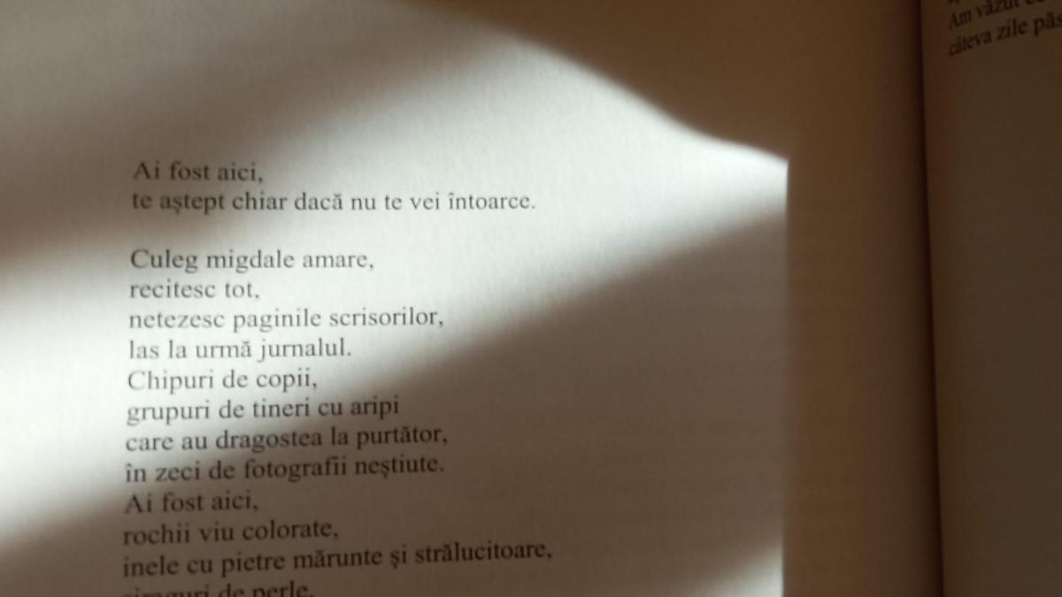 43f124d1-a616-4f52-b04f-41fba1666f9b_44294400