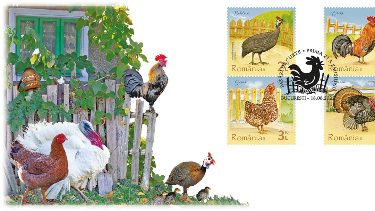 fdc_pasari_curte_05854000