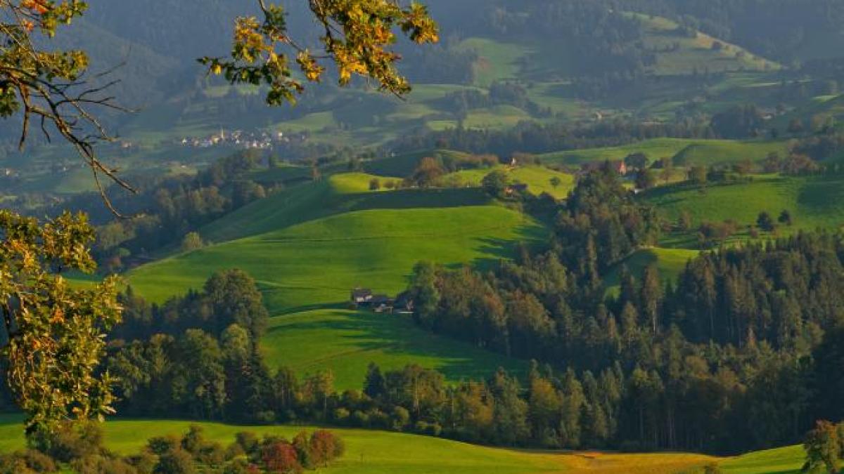 zapodie-apuseni_67332700