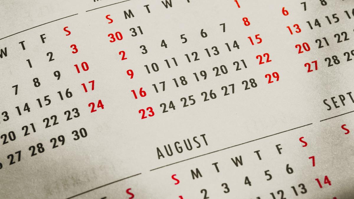 fenomen_maglavit_pxl_14974600