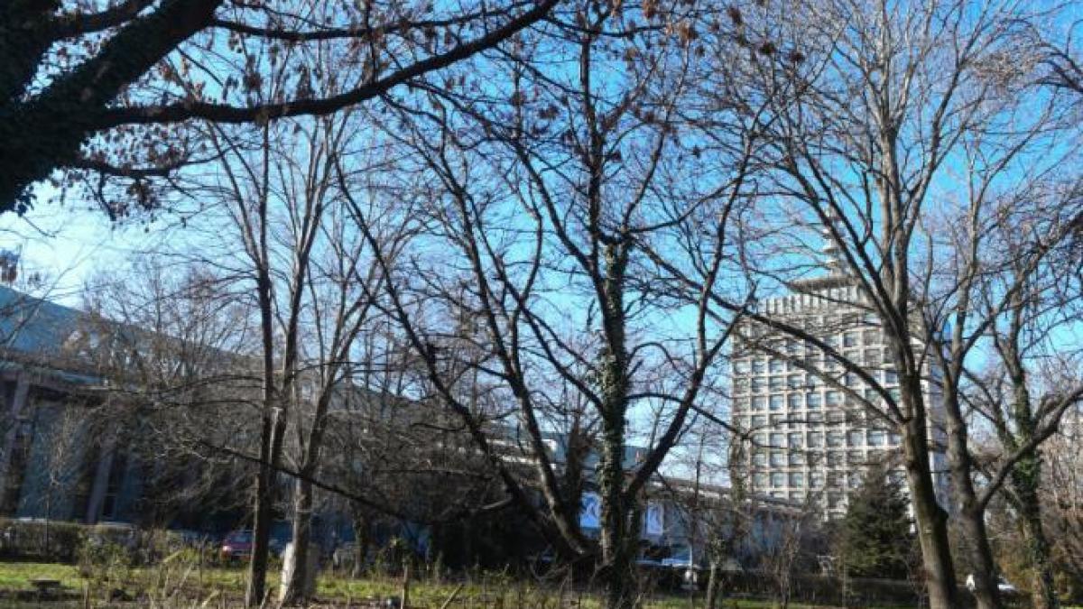 tvr--mii-de-angajati-si-audienta-zero--salariul-ajunge-la-10-000-de-lei-cu-sporuri-in-plina-criza-economica_21631200