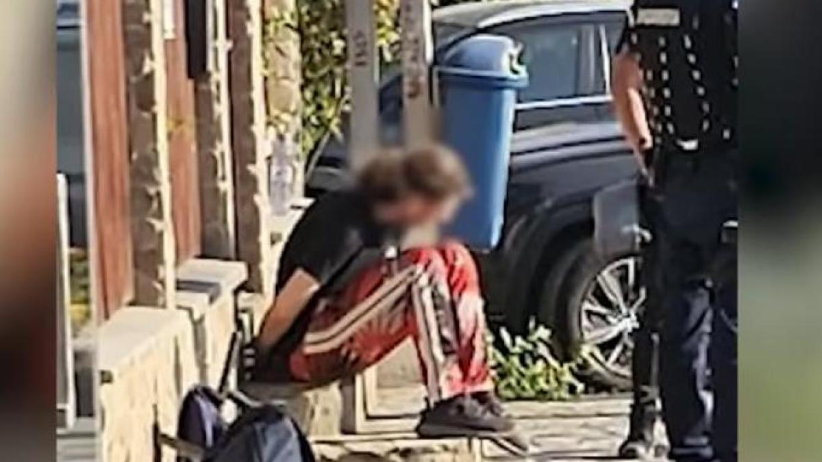 cazul-vlad-pascu--emilia-sercan-eu-sper-ca-familiile-celor-doi-tineri-ucisi-sa-introduca-politia-romana-in-proces--ca-parte-responsabila-civilmente_19727800