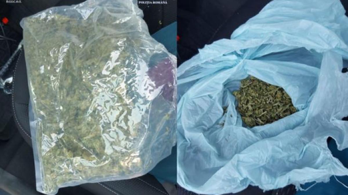 traficant-de-canabis--arestat-preventiv--dupa-ce-a-fost-prins-in-flagrant-in-cluj_93845900