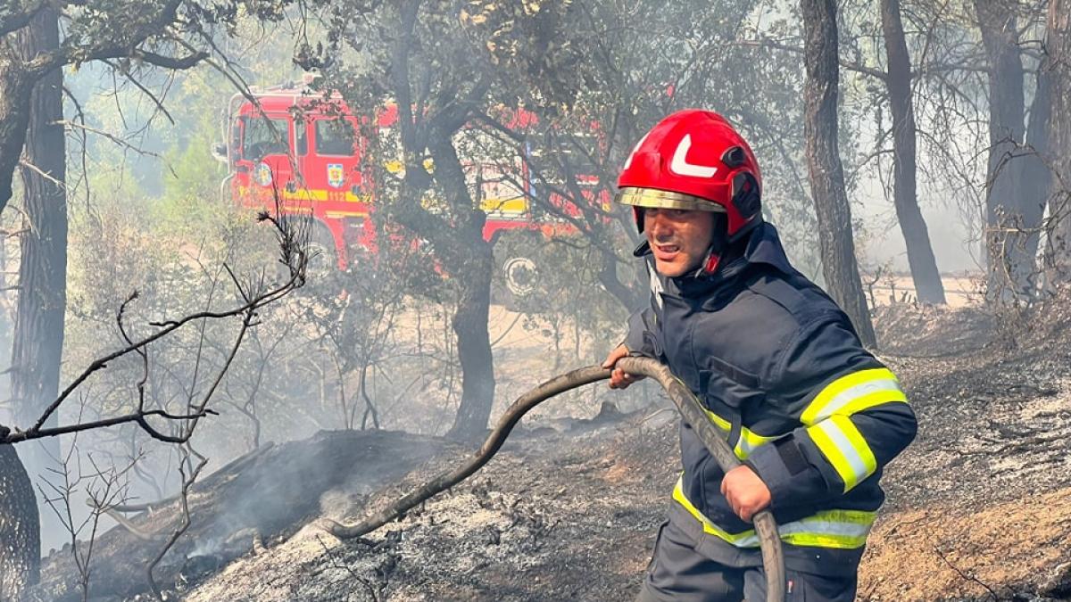 grecia-continua-lupta-cu-incendiile-de-padure--localnicii-sunt-nemultumiti-de-situatia-care-se-repeta-anual_65054800