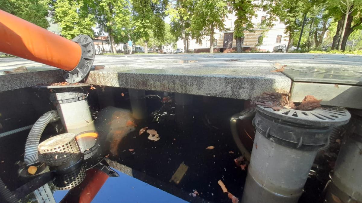 fantani-cluj-4_44155000