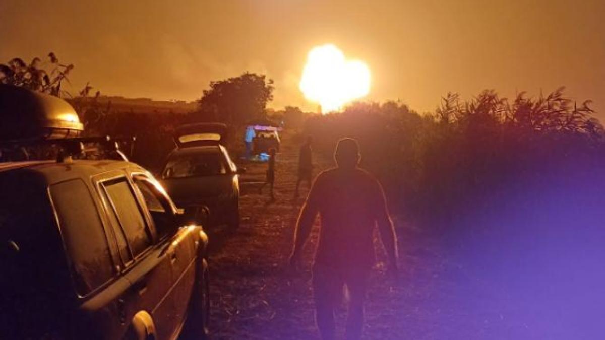 explozie-crevedia-ciuperca_69323600