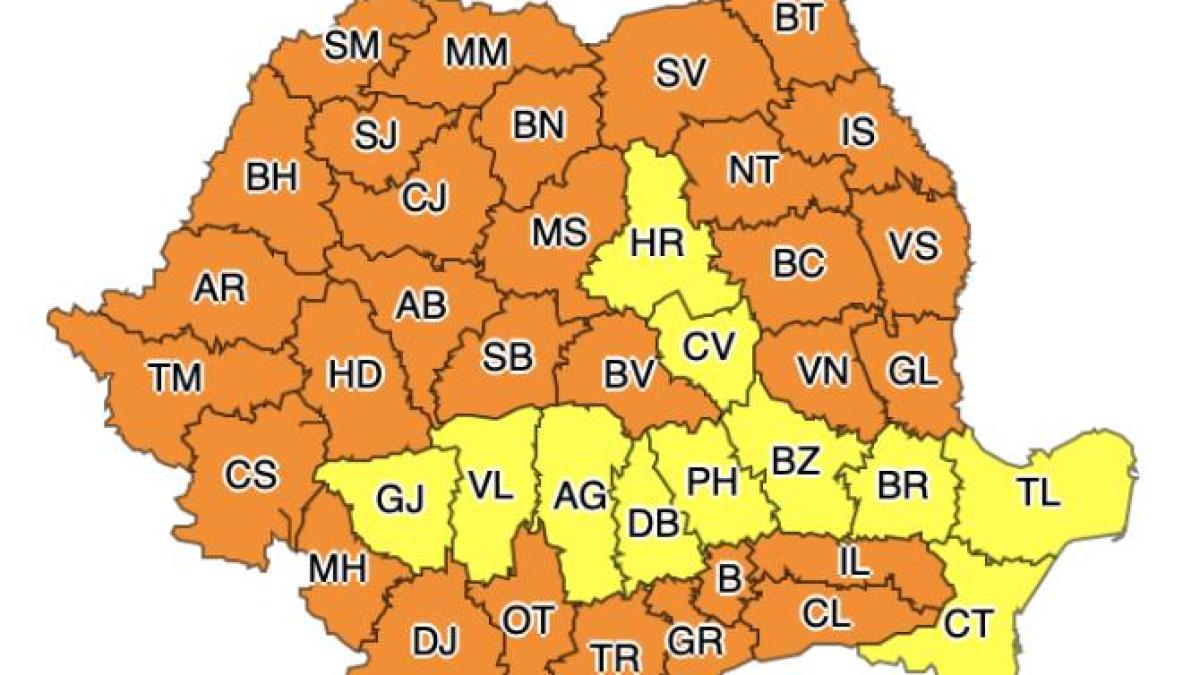 cod-portocaliu-1_29414800