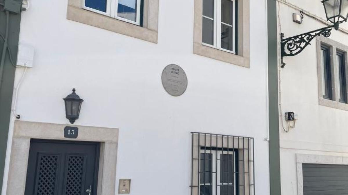 dinu-gindu-diaspora_92805900