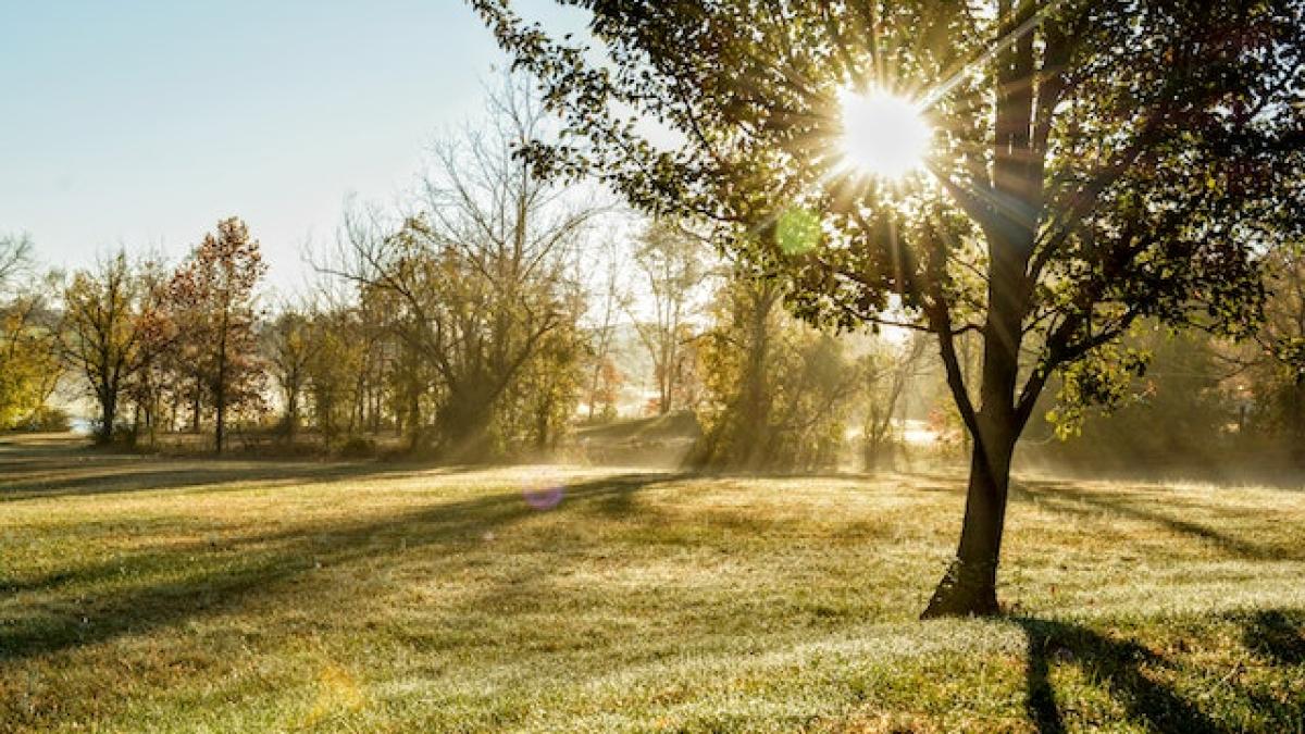 canicula-toamna_36514900