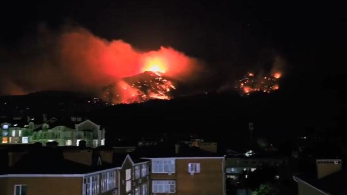 incendiupadurerusia_09692400