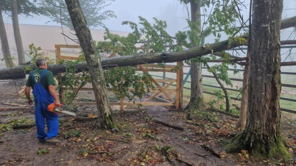 zoo-targu-mures_72338800