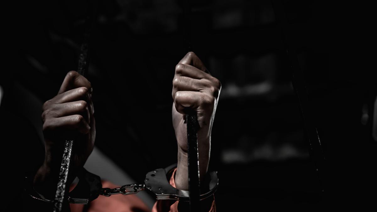 influencer-in-educatia-parentala--arestat-pentru-suspiciunea-de-abuz--isi-tinea-copiii-fara-apa-si-hrana_29854200