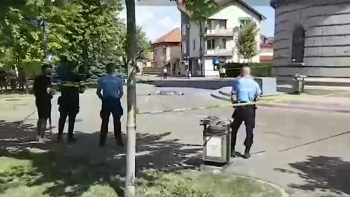 sinucideremuzeu_61476400