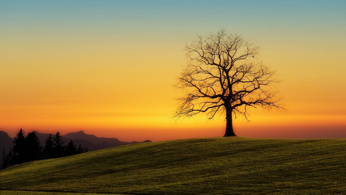 echinoctiu-toamna_07787600