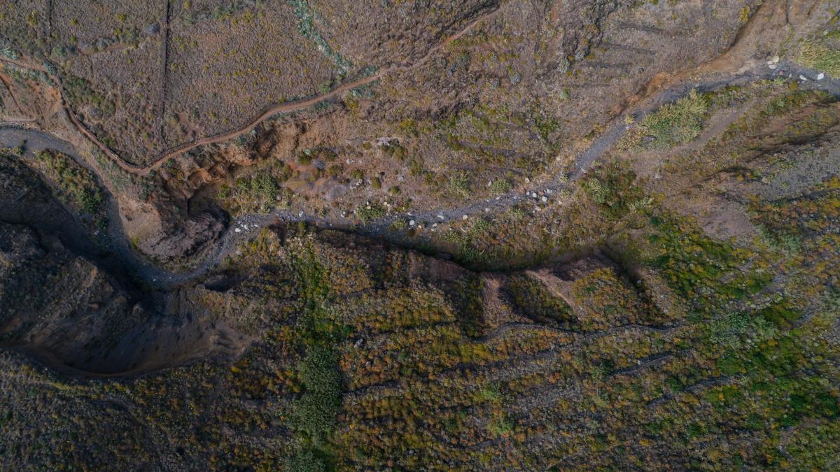 cercetare_omenire_pxl_55047800