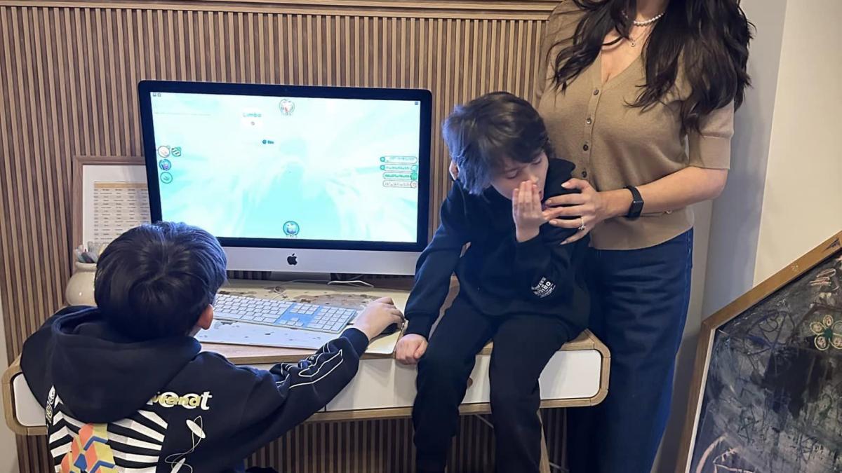 reguli-ecran_05338200