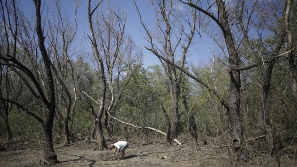 raed-arafat-sfaturi-drona-granita-ucraina_84846600