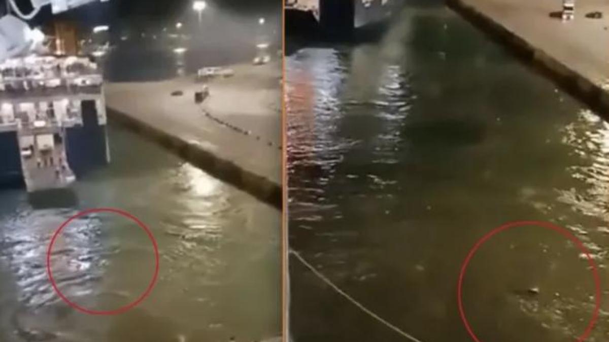 tanar-ucis-port-pireu_34827000