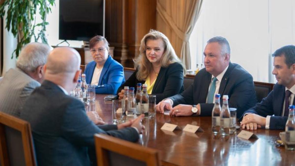 nicolae-ciuca_85132100