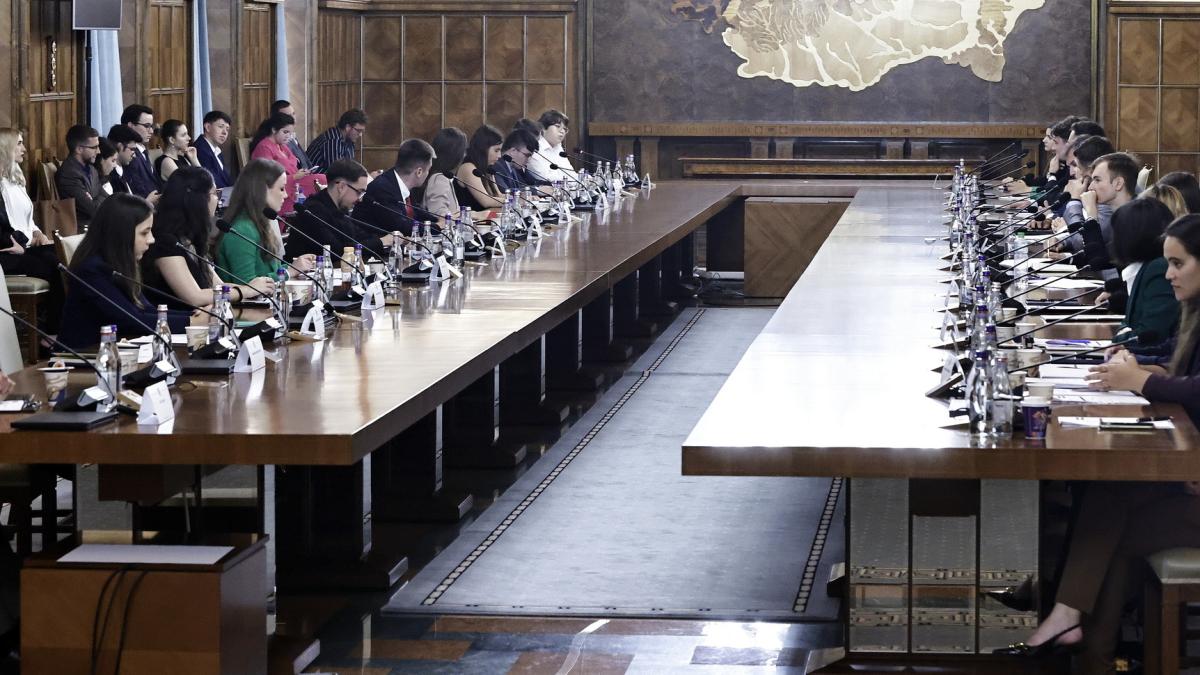 tineri_simulare_guvern_09764500