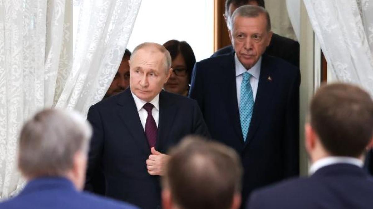 erdogan-discutii-vladimir-putin-despre-acordul-cu-cereale_94348700