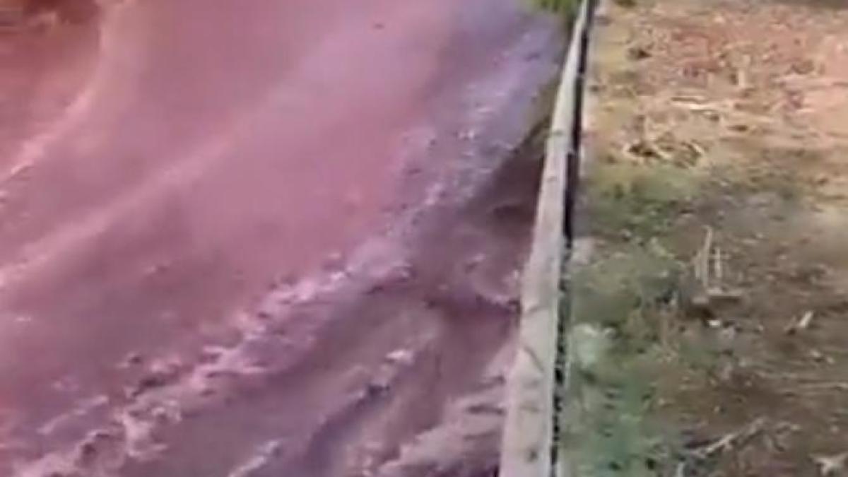 satinundatdevin_22710100