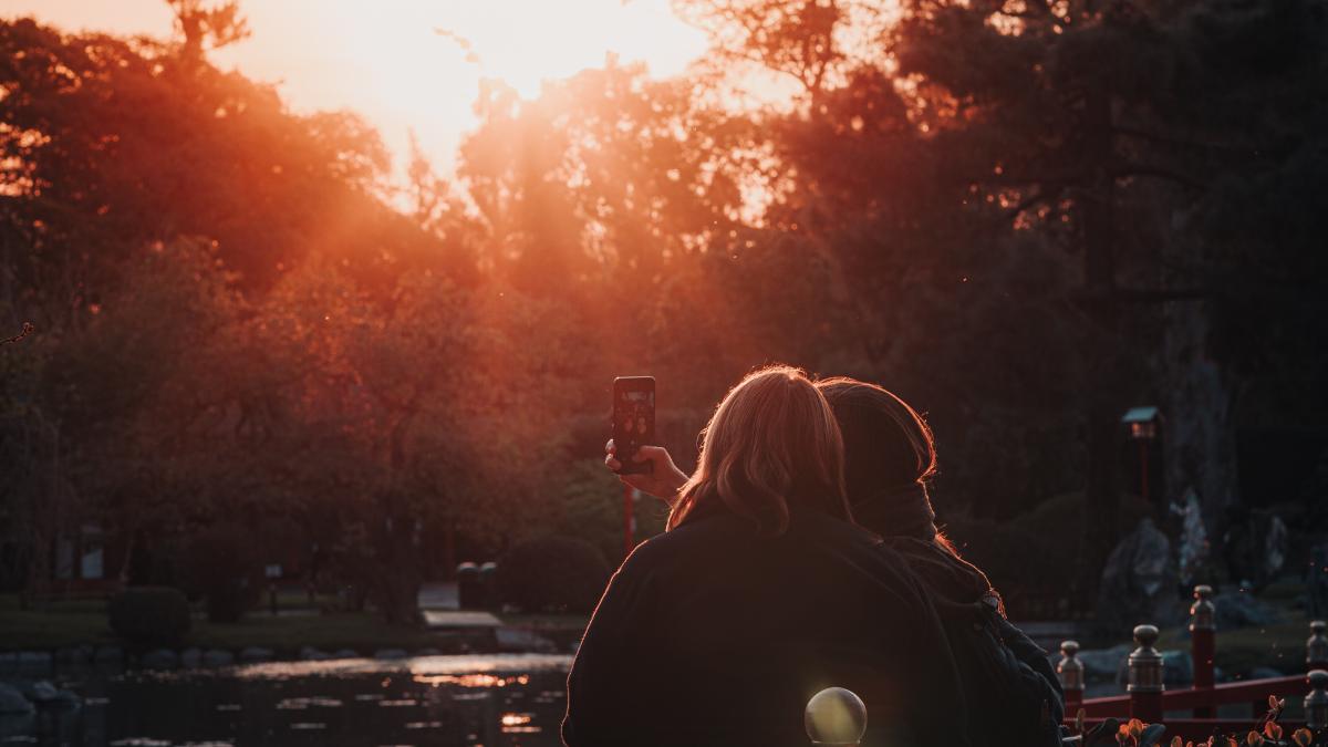 pexels-parc_45028200