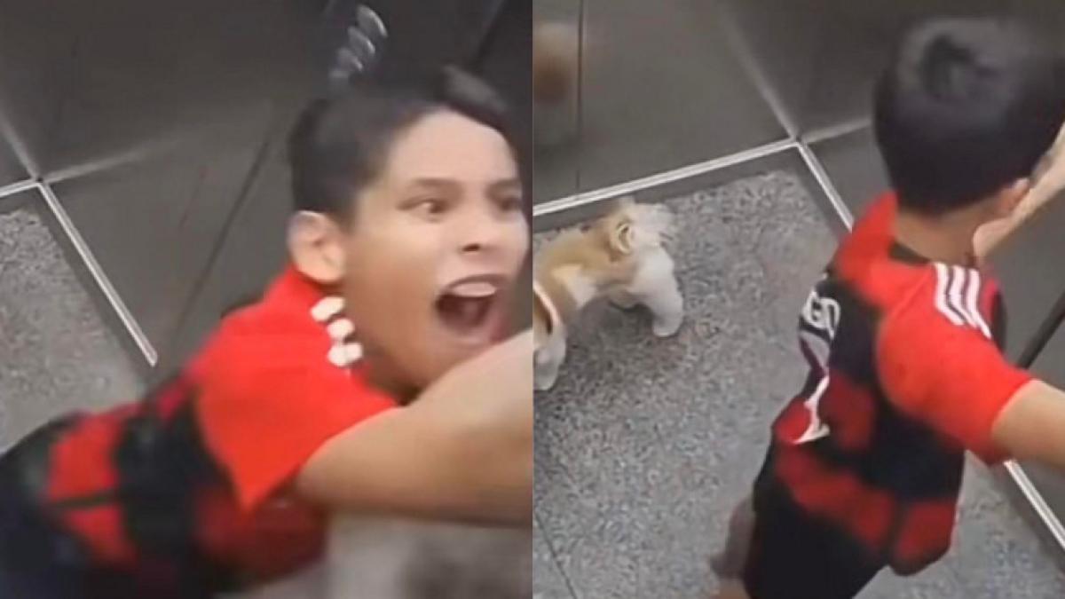 caine-prins-in-lift_32841600