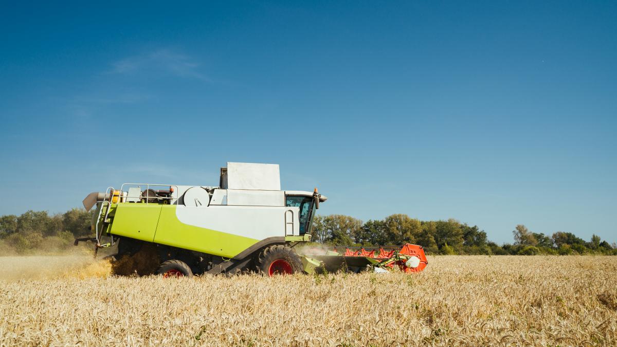 ajutor-pentru-fermierii-afectati-de-importul-de-cereale-din-ucraina--florin-barbu--ministrul-agriculturii--anunta-un-sprijin-de-2-leilitru-pentru-50prc--din-motorina-folosita-in-2022_06718400