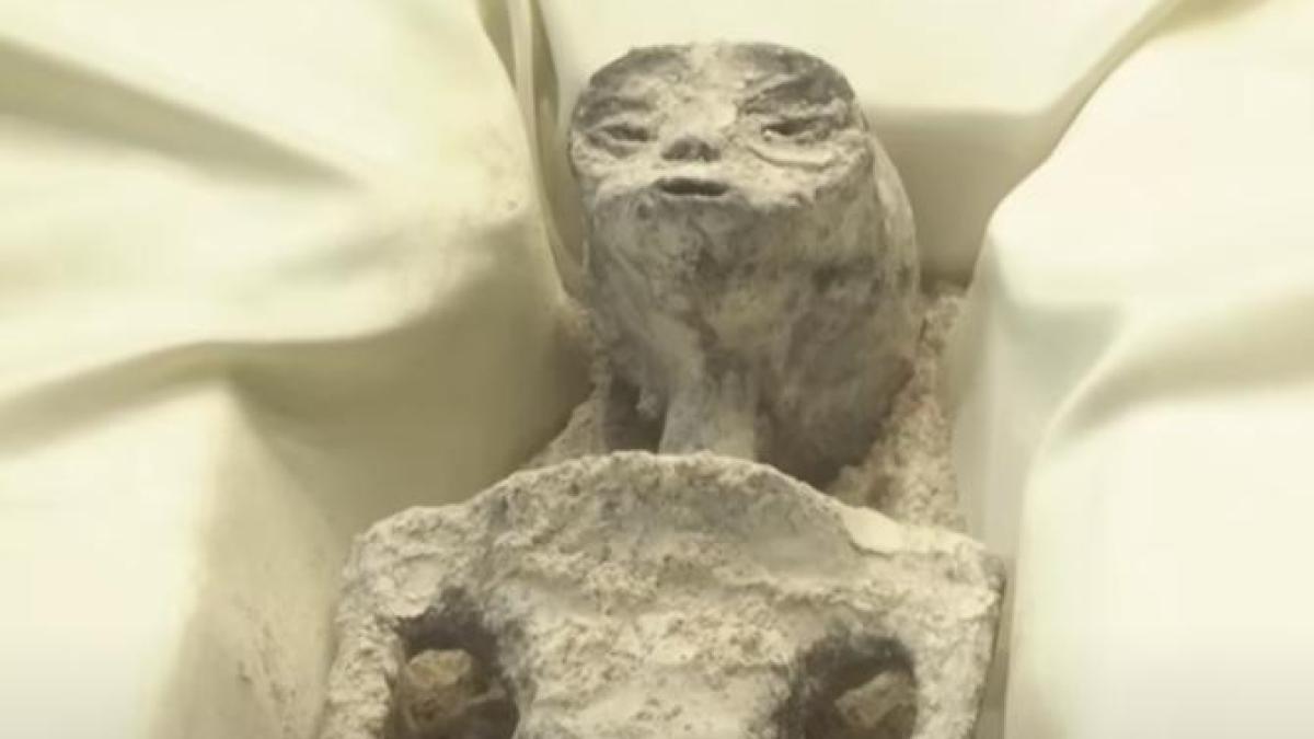 extraterestrii_48288700