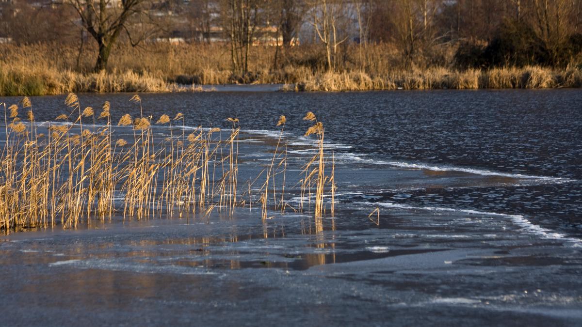cod-galben-de-inundatii-pe-raurile-din-noua-judete-din-vestul-tarii_69920900